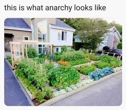 Feed your Neighbours