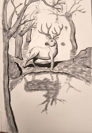 Ink drawing of a deer standing in the middle of a swamp