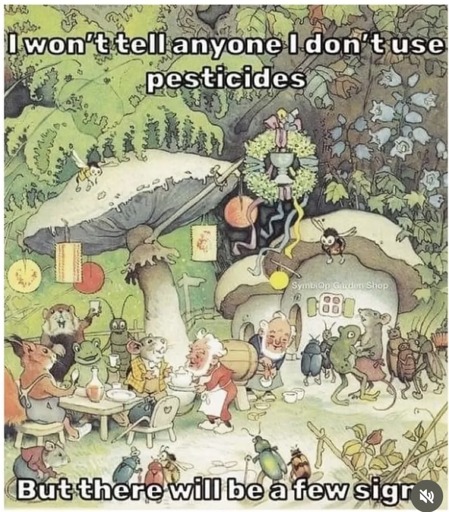 A pastel fantasy scene of a tiny outdoor beer garden, populated by mice, frogs, and other small animals, underneath large mushrooms and ferns. The caption reads "I won't tell anyone I don't use pesticides but there will be a few signs".
