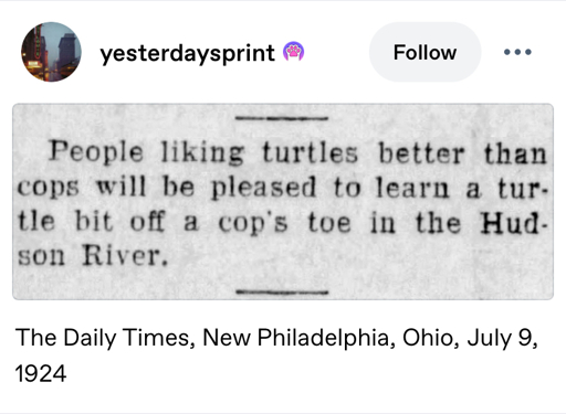 tumblr post by yesterdaysprint: People liking turtles better than cops will be pleased to learn a turtle bit off a cop's toe in the Hudson River - Tge Daily Times, New Philadelphia, Ohio, July 9, 1924
